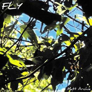 FLY