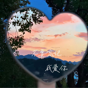 不要忘记我爱你 (不要忘记我想你)
