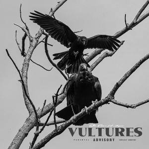 Vultures (Explicit)