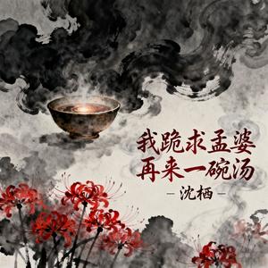 我跪求孟婆再来一碗汤