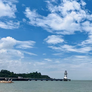 风听过的故事 (纯音乐)