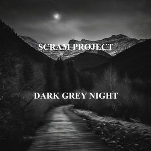 Dark grey night (Cover)