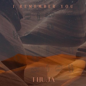 I Remember You