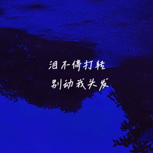 别动我头发 - 风会带来共同的回忆