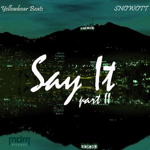 Say It, Pt. 2 (feat. SNOWOTT) (Explicit)