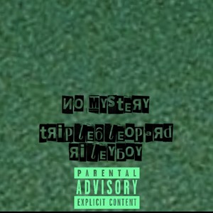 no mystery (feat. rileyboy) (Explicit)