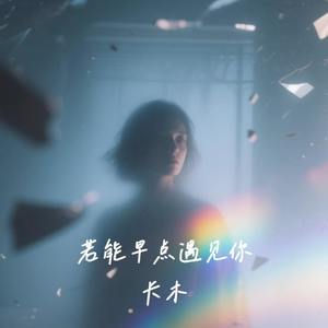 若能早点遇见你