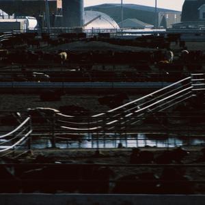 I Hand You a Gun & Keys to the House (feat. FACE WITH NO FEATURES) (Explicit)