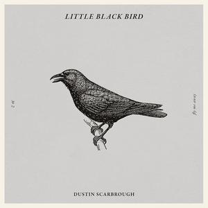 Little Black Bird