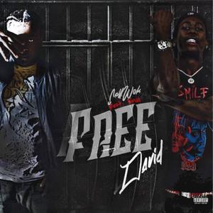 Free David(feat. SEUS) (Explicit)