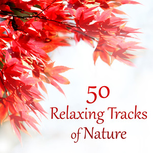 50 Relaxing Tracks of Nature – Autumn, Rain, Deep Meditation, Secret Garden, Spa Therapy, Massage, Instrumental Music, Healing Song