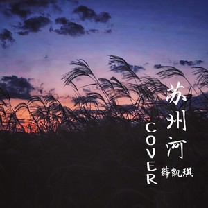 蒋孜怡 - 苏州河