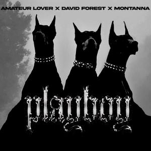 PLAYBOiii (GLESI) (feat. David Forest & Montanna)