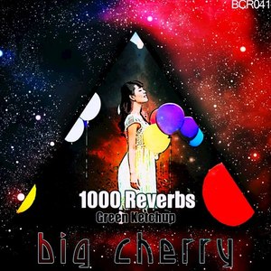 1000 Reverbs