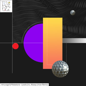 Levels (Alexey Union Remix)