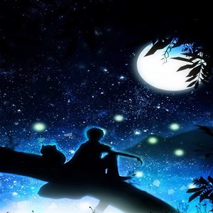 夜空下的猫
