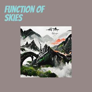 Function of Skies