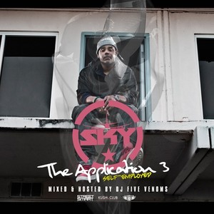 The Application 3 (Self Employed)