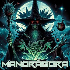 Mandrágora