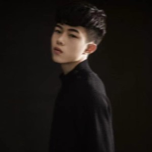 月色倒映在西湖