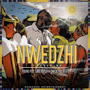 Nwedzhi (feat. Young Pizy, BIG Ropza & CHECK-KID BEATZ)