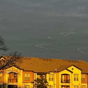 in the garden of rest, a flower blooms