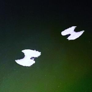 Aripi(feat. Gengar Capone)