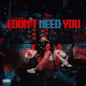 I Dont Need You (Explicit)