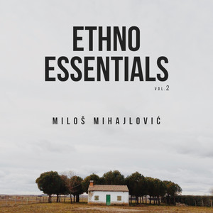 Ethno Essentials Vol.2