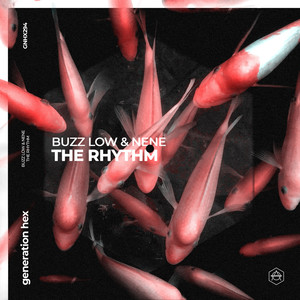 The Rhythm (Extended Mix)