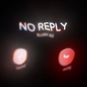 NO REPLY (Explicit)