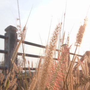 KIMMON KORAWIT - ไม่ชอบก็บอก