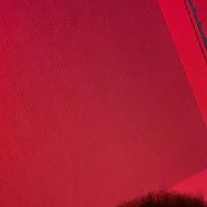 Shoota (feat. Badbug) (Explicit)