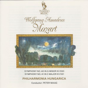 Mozart: Symphony No. 40 in G Minor, K. 550: I. Molto Allegro