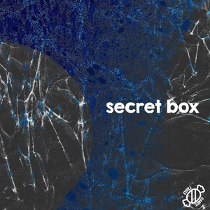 secret box