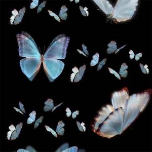 Fractures (0.9×)封面