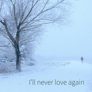 I'll never love again