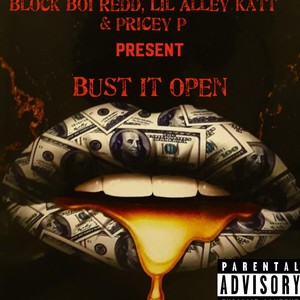 Bust It Open (feat. Lil Alley Kat & Pricey P) [Explicit]