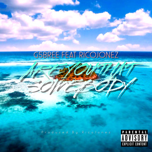 Are You That Somebody (Explicit)