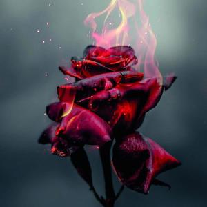 Assi Nazuk Dil De Lok Han