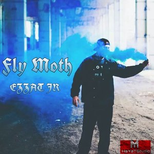 Fly Moth