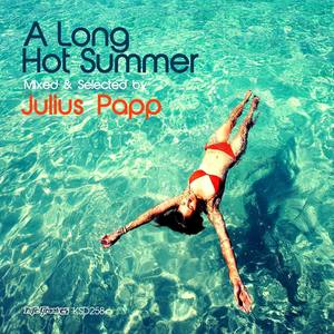 A Long Hot Summer: Mixed & Selected by Julius Papp