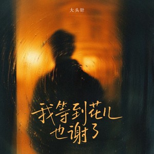 我等到花儿也谢了（会不会有人陪着我）