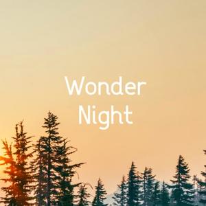 Wonder Night