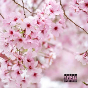 B4FB (Explicit)