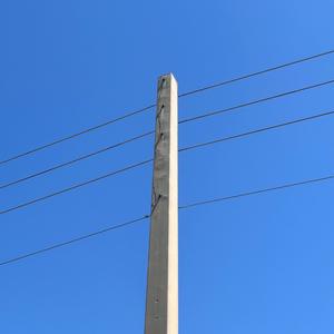 La Copla del Tipo (Explicit)