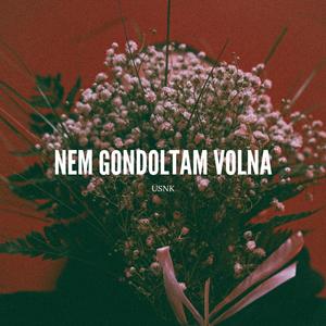 Nem gondoltam volna (Explicit)