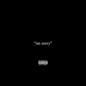 I'm Sorry (Explicit)