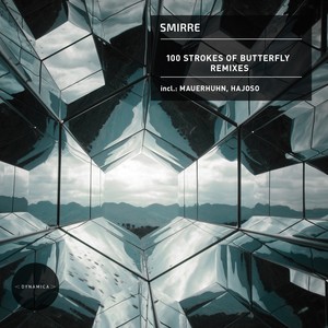 100 Strokes of Butterfly (Hajoso Remix)