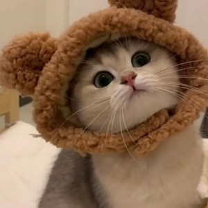 不是因为寂寞才想你 (Live)